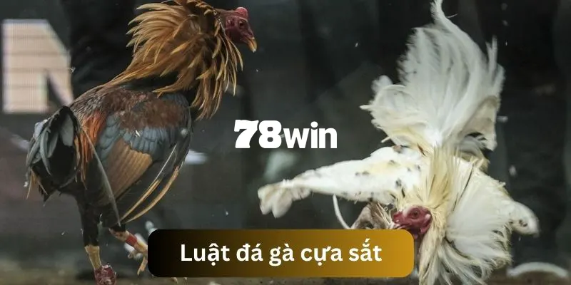 Nắm chắc luật chơi trước khi vào trải nghiệm